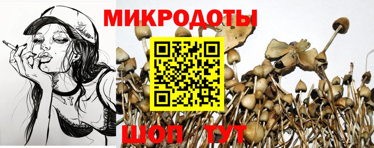 Псилоцибиновые грибы GOLDEN TEACHER Ленинск-Кузнецкий