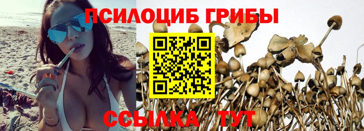 наркота  Вход с VPN  Ленинск-Кузнецкий  Галлюциногенные грибы MAGIC MUSHROOMS  Галлюциногенные грибы Cubensis 